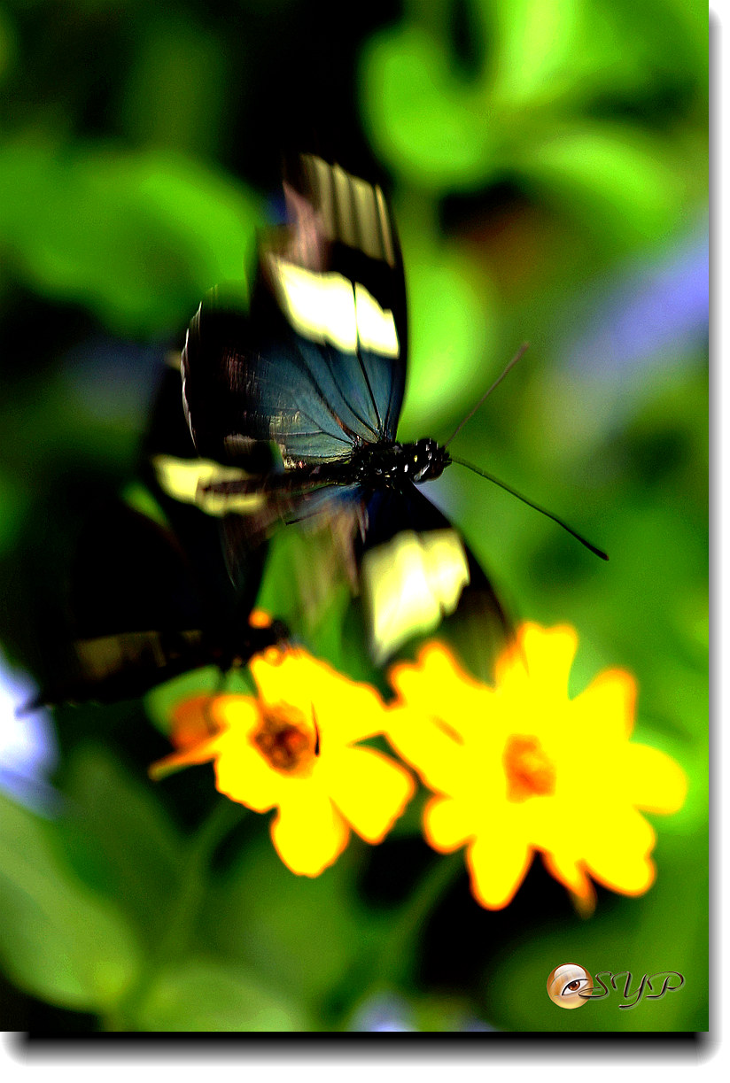 DSC01756_.jpg