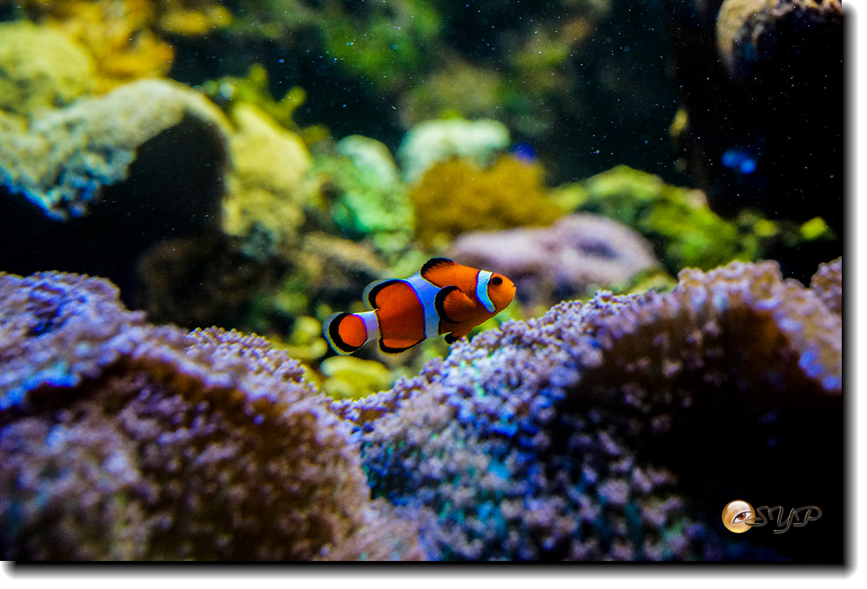 DSC02179_.jpg