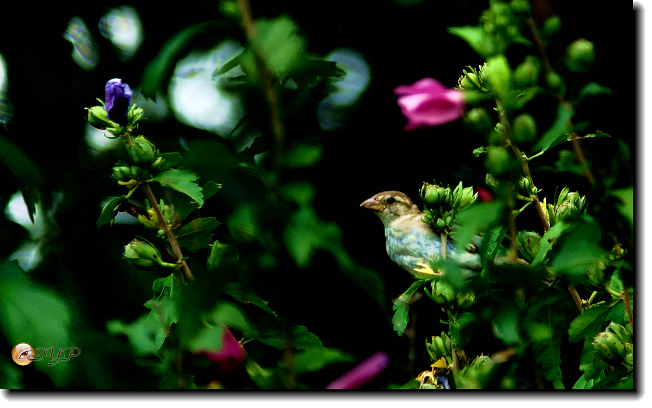DSC01077_.jpg