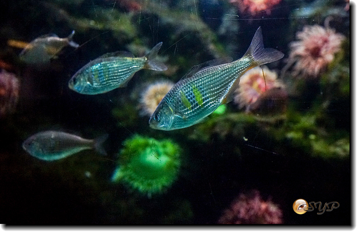 DSC02140_.jpg