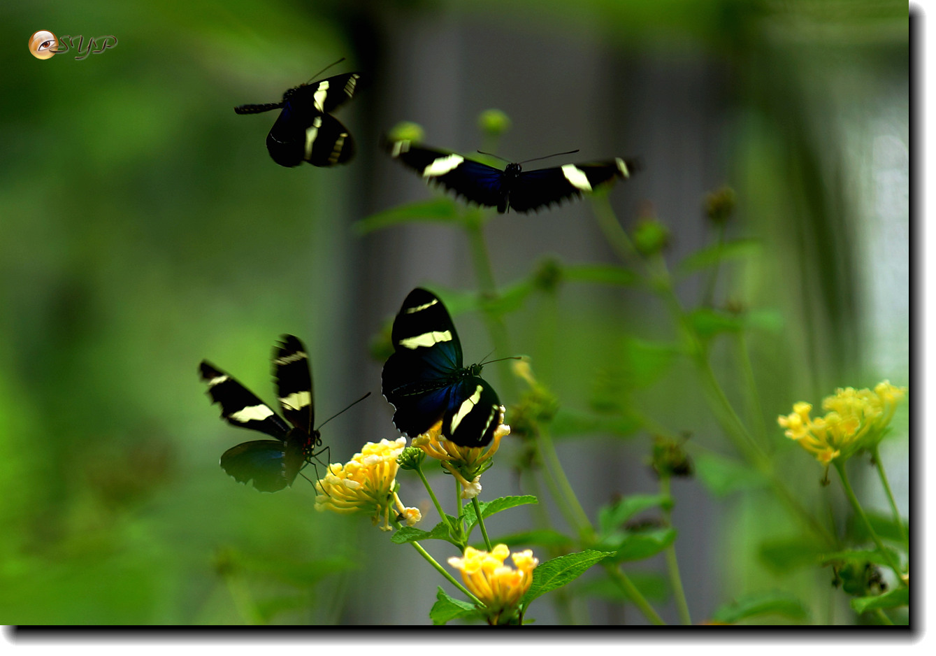DSC01656_.jpg