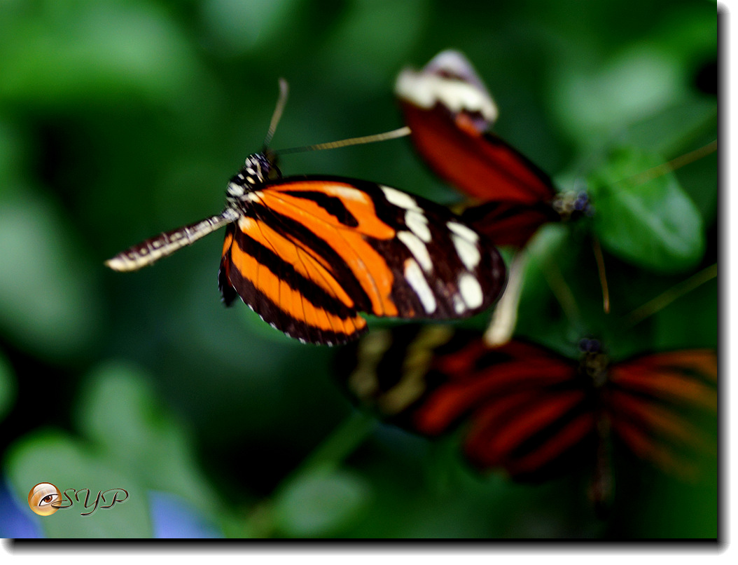 DSC01820_.jpg