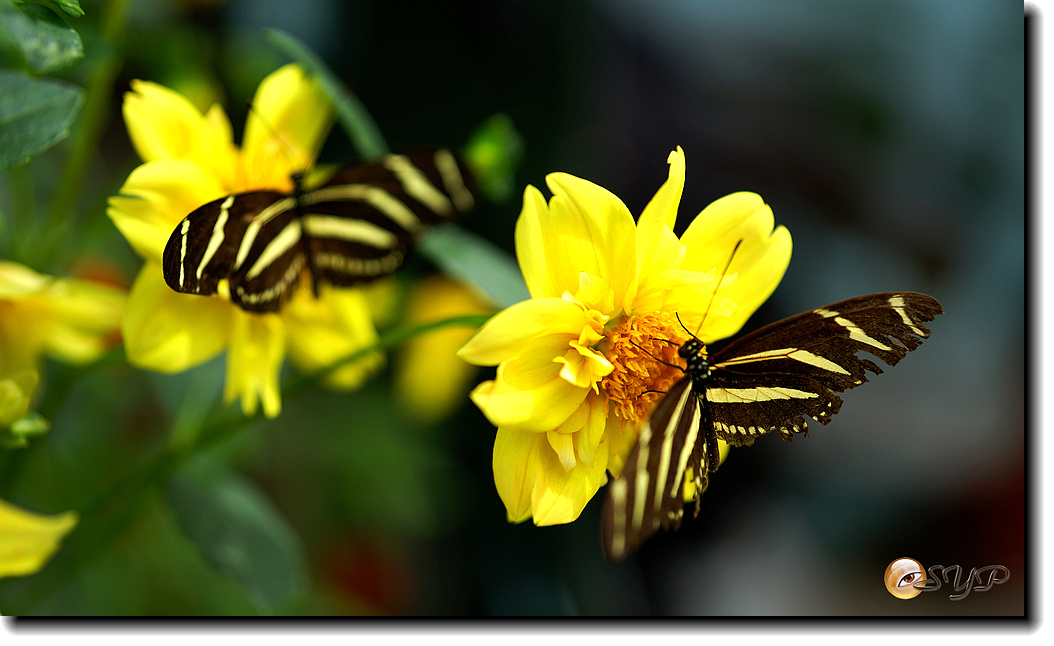 DSC01643_.jpg