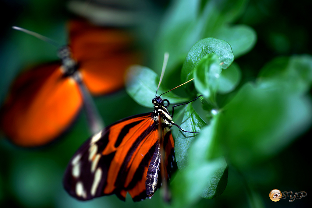 DSC01785_.jpg