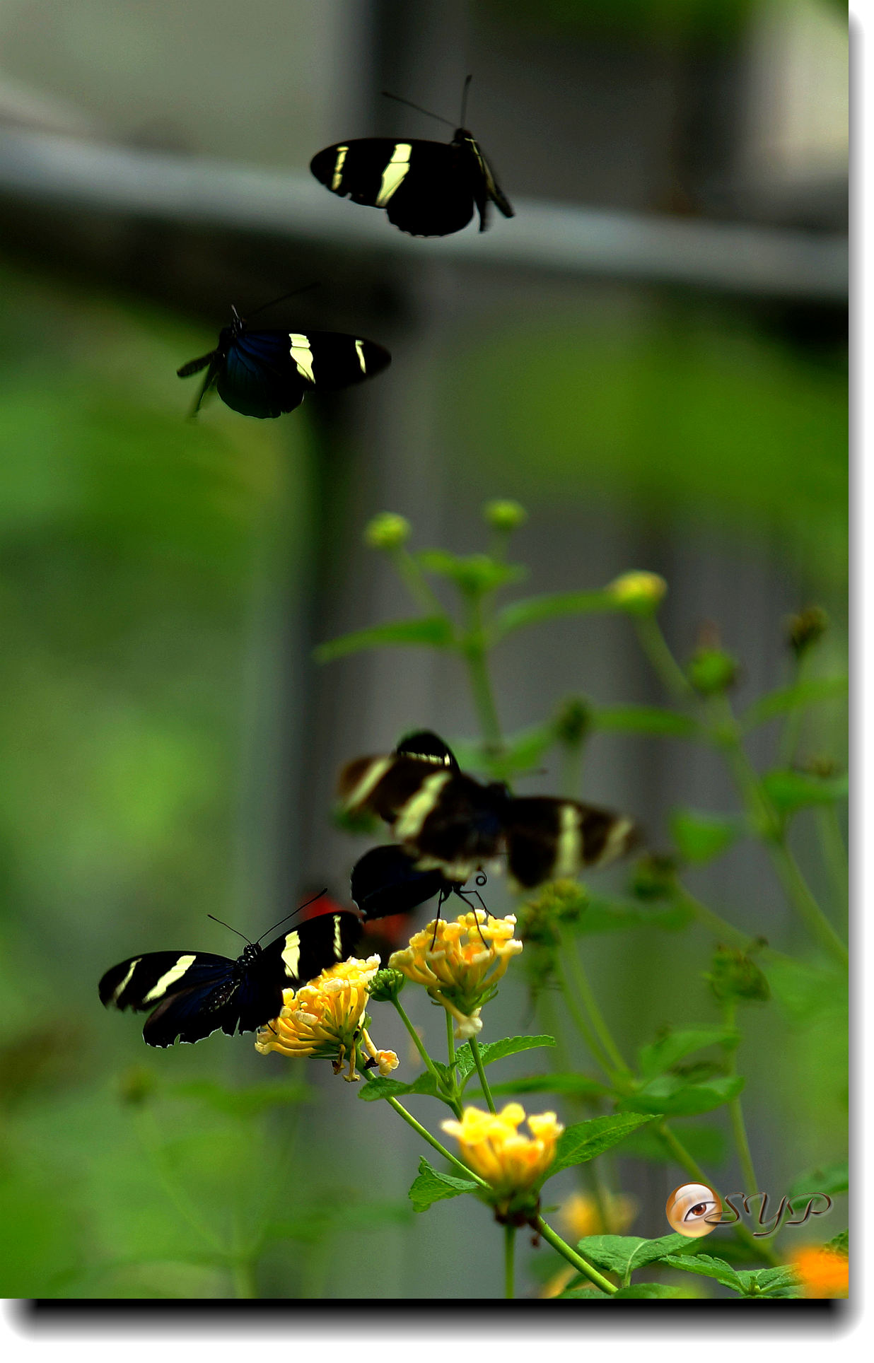 DSC01657_.jpg