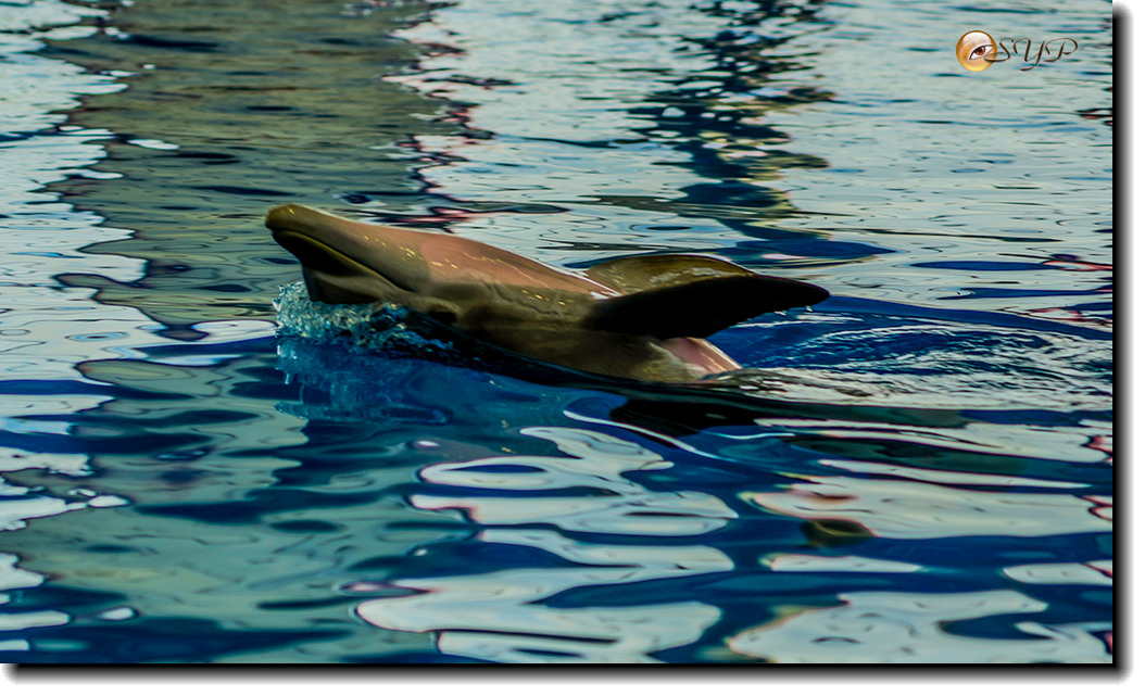 DSC02040_.jpg