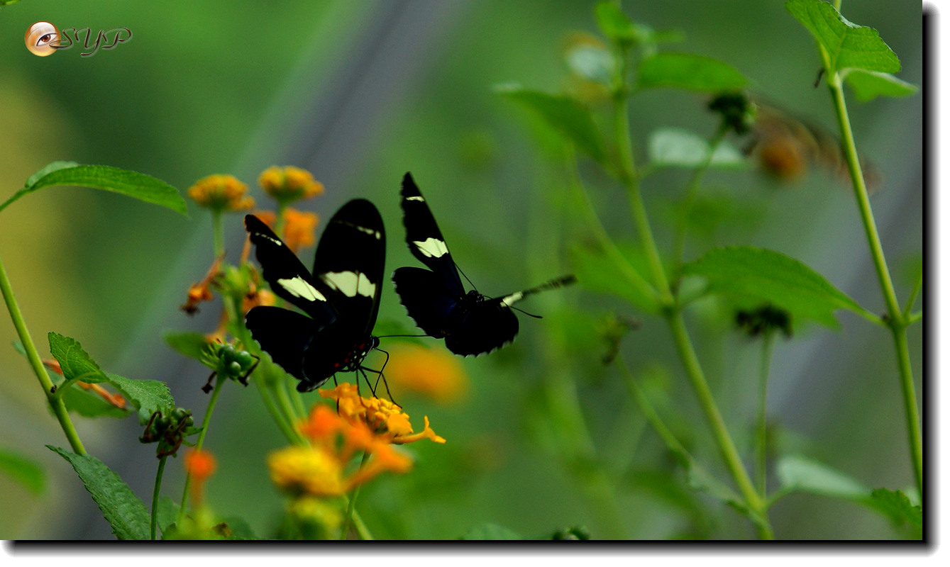 DSC01588_.jpg