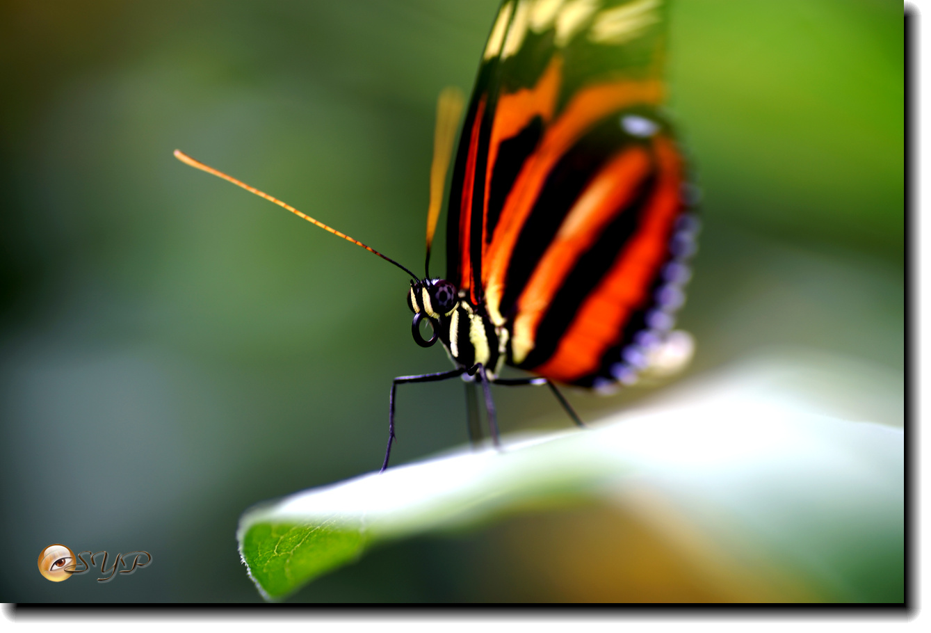 DSC01466_.jpg