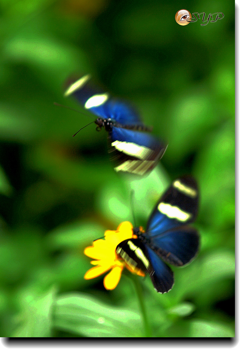 DSC01697_.jpg