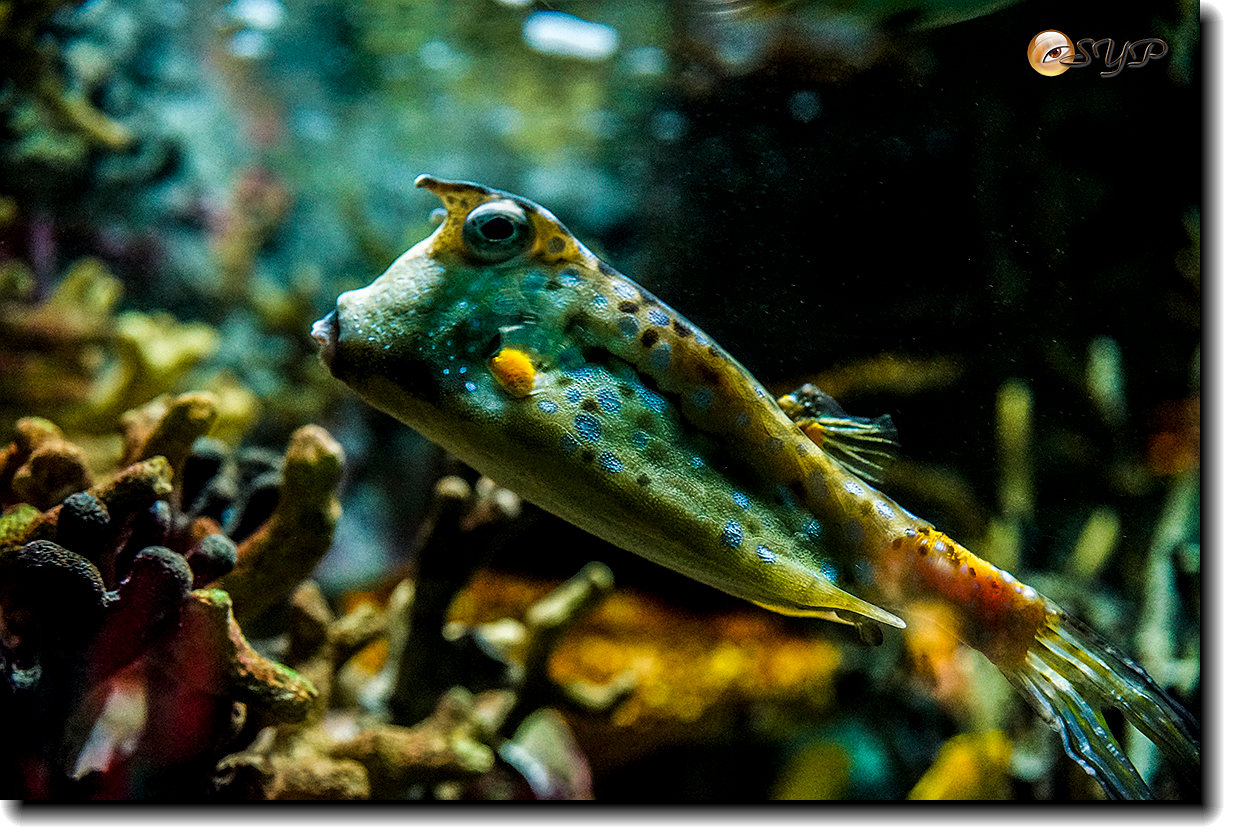 DSC02196_.jpg