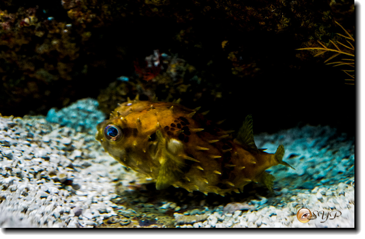 DSC02174_.jpg