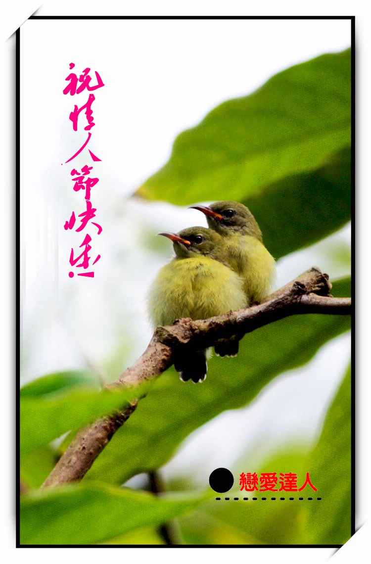 DSC_8887_conew1.jpg