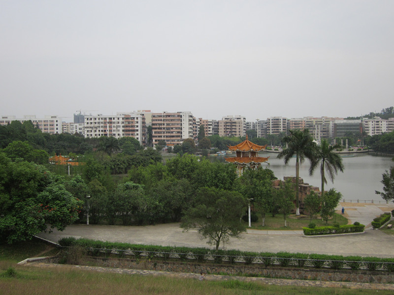 IMG_1747_.jpg
