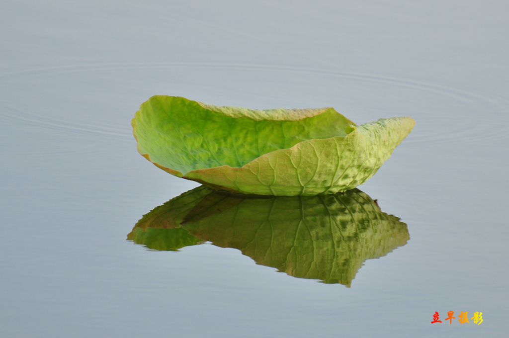 DSC_1152.JPG