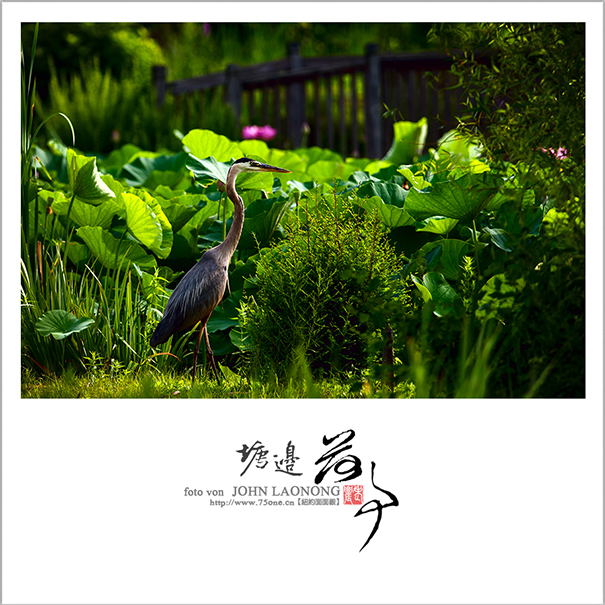 f751DSD_7314.jpg