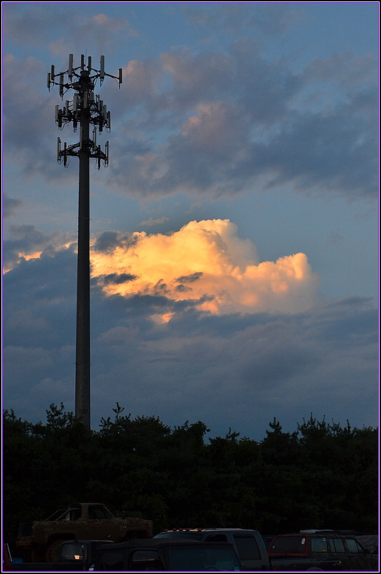 DSC_6374.jpg