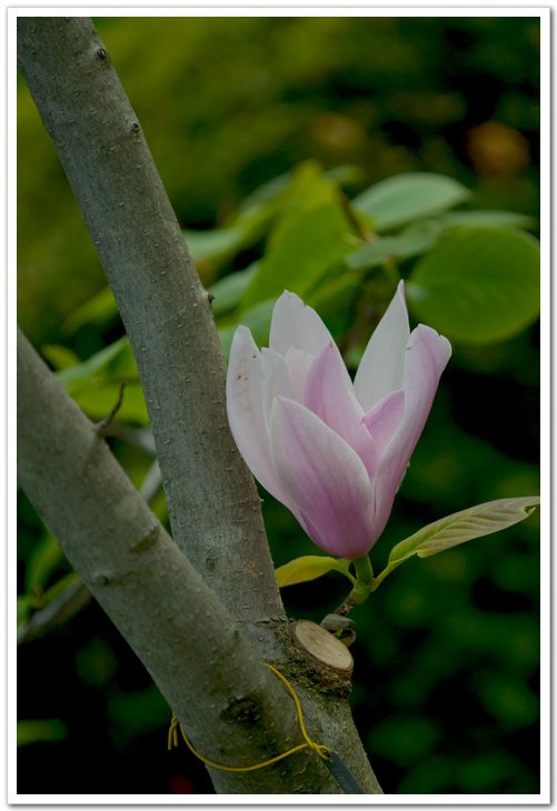 nEO_IMG_DSC_3442.jpg