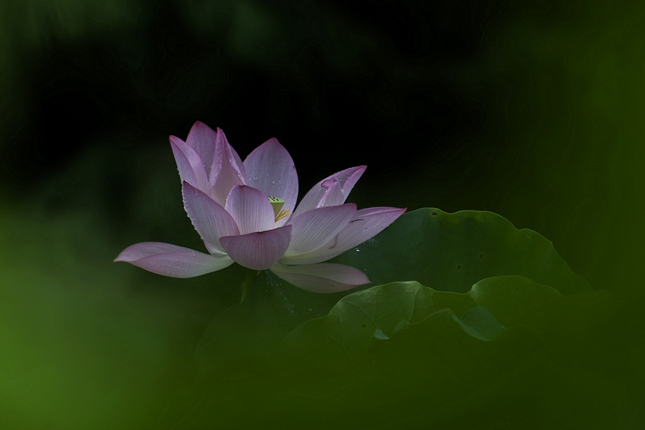 DSC_8286.jpg