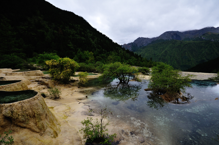 DSC_1769.jpg