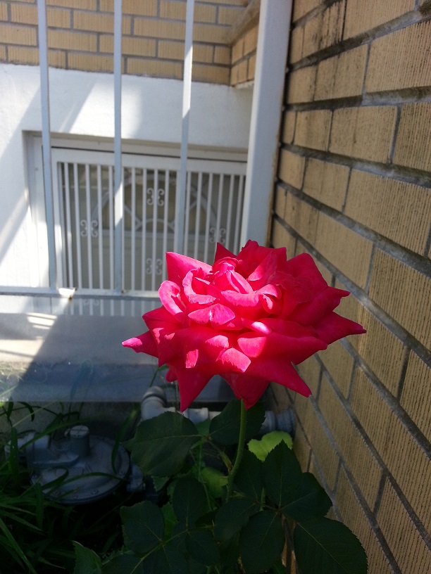 20130825_133858.jpg