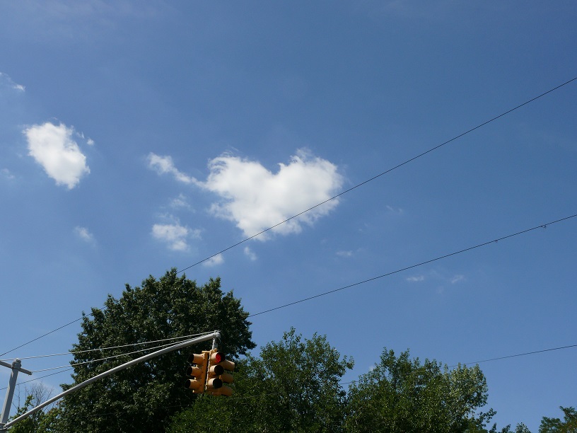 L1050528.JPG