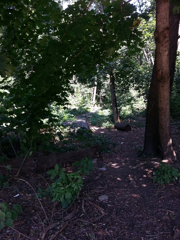 20130825_114926.jpg
