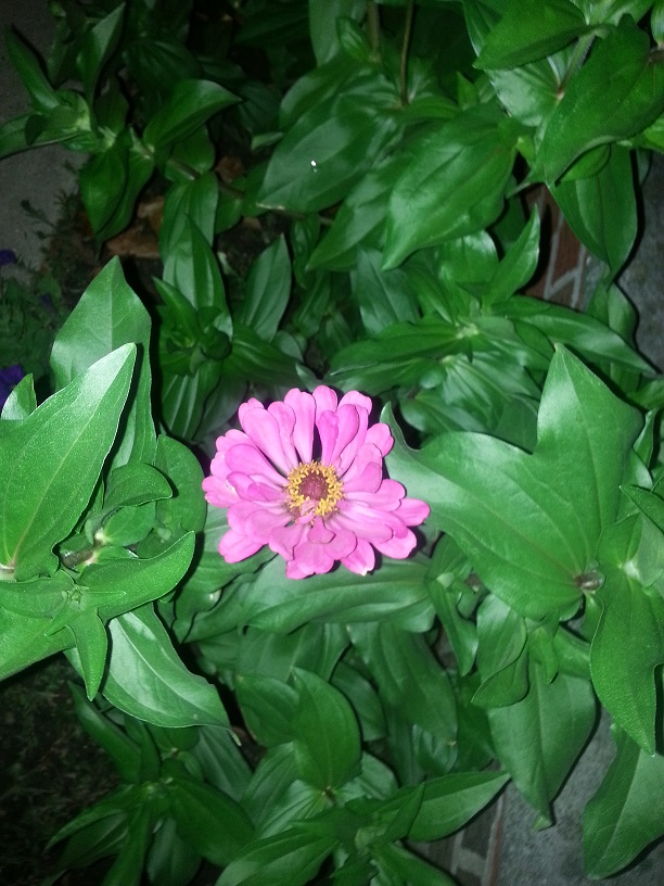 20130731_224112.jpg