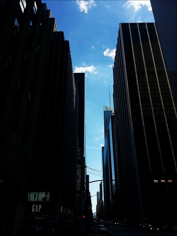 20130824_170315_conew2.jpg