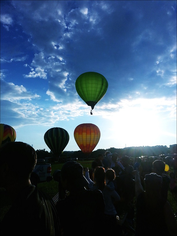 20130803_191056_conew1.jpg