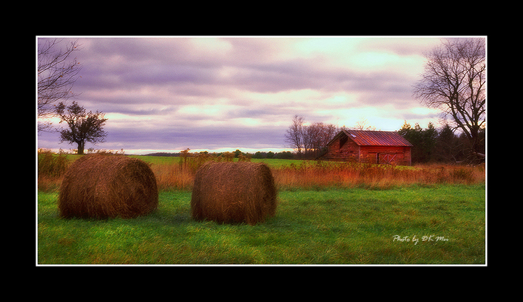 The Old Barn.jpg