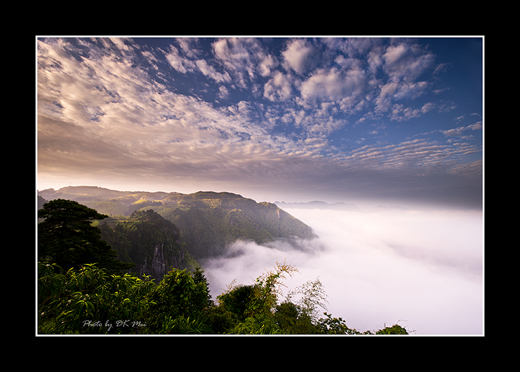 DSC_5253C.jpg