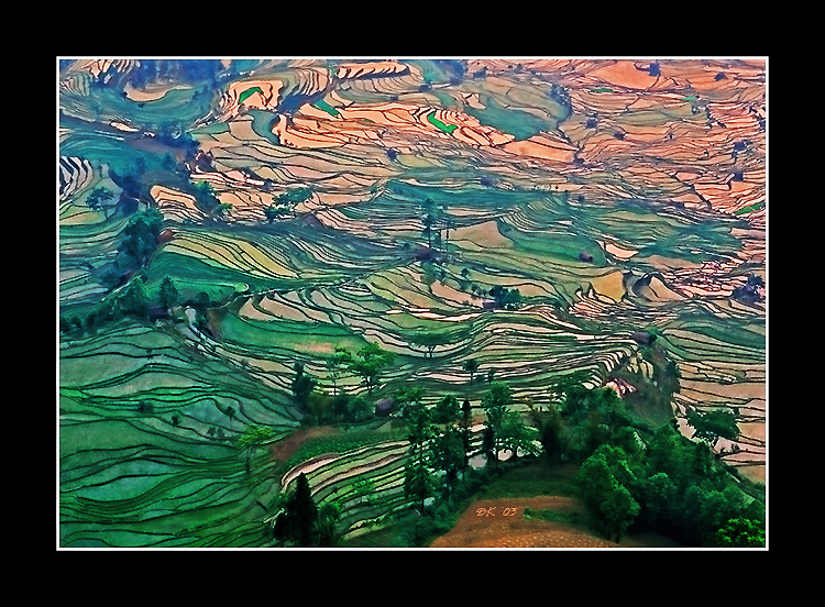 Curving Patterns.jpg