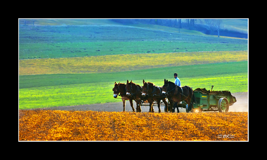 DSC_0495C.jpg