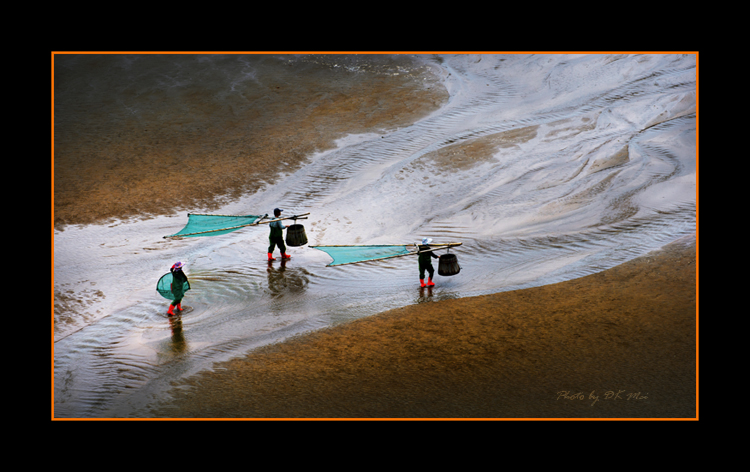 DSC_9842C.jpg