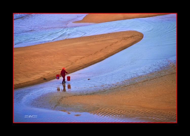 DSC_3506C.jpg