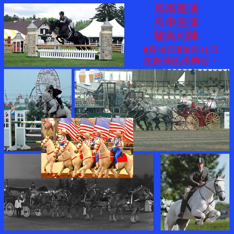 0-12.jpg