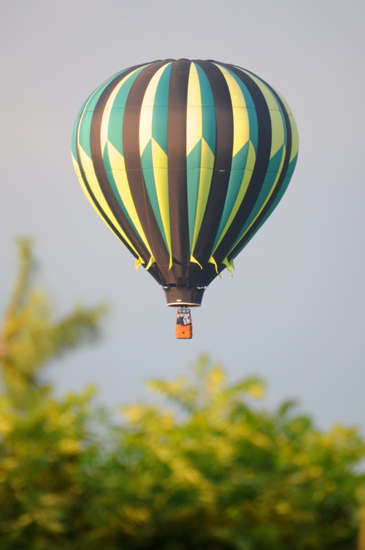 DSC_0410.jpg