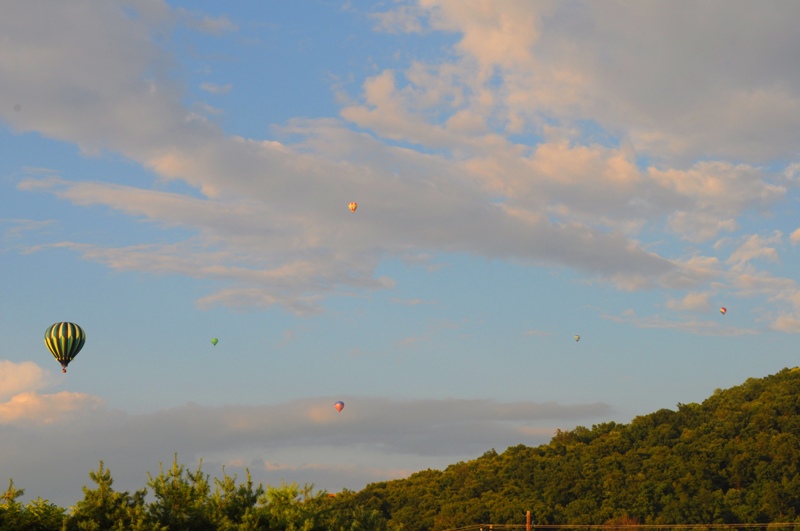 DSC_0400.jpg