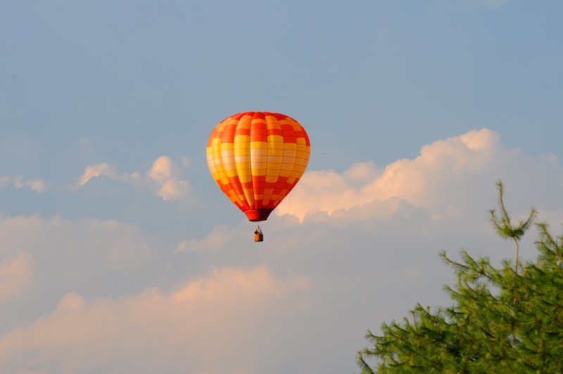 DSC_0385.jpg