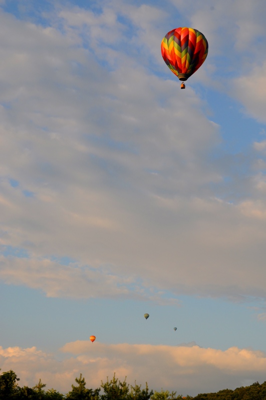 DSC_0469.jpg