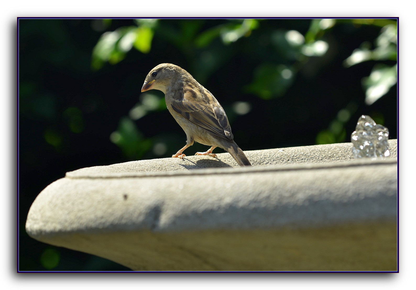 DSC_3007.jpg