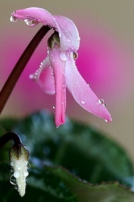 t01108aaa82f5aefb41.jpg