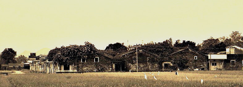 IMGP7193.JPG
