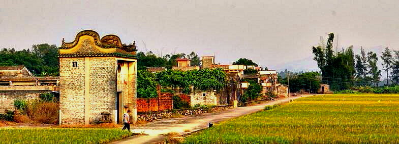 IMGP7203.JPG