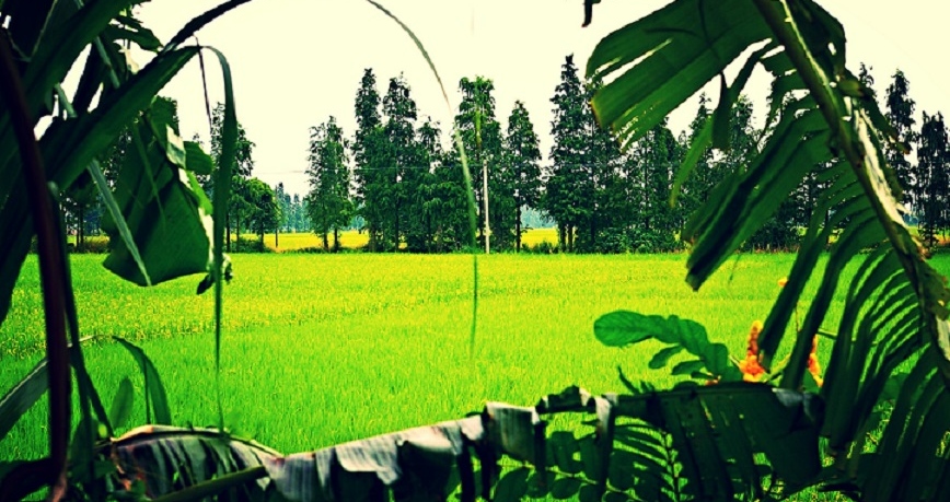 IMG_20130829_094545.jpg