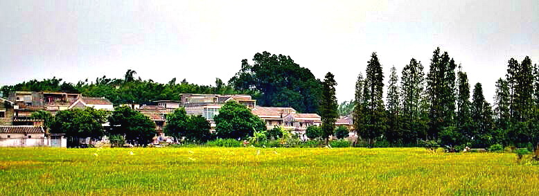 IMGP7147.JPG