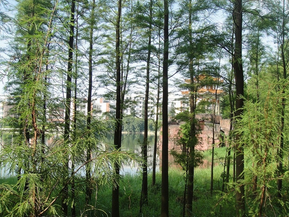 DSC09180.JPG
