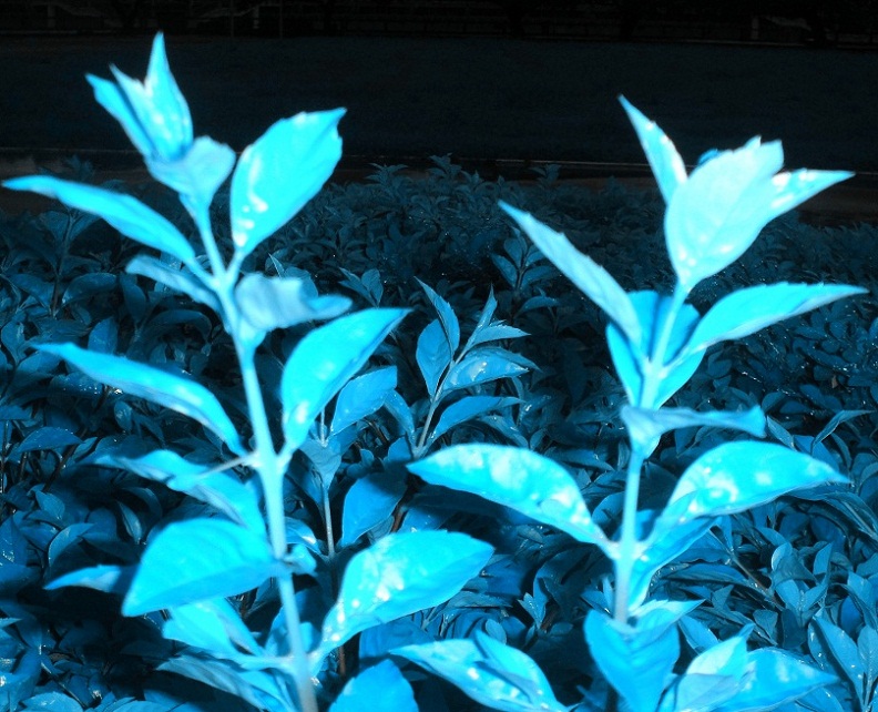 DSC08934_.jpg