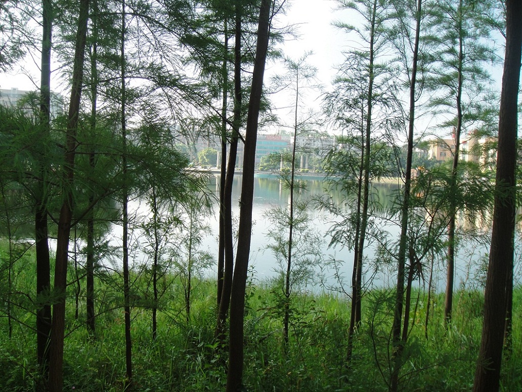 DSC09175.JPG