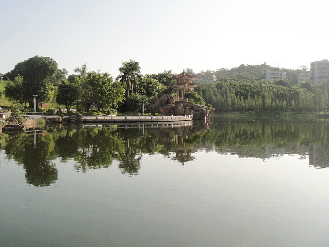 DSC09206_.jpg